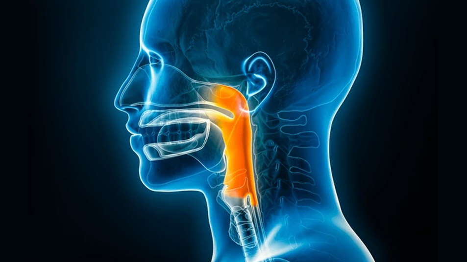 Micro Laryngeal Surgery