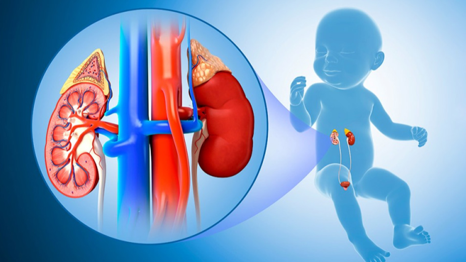 Paediatric Urological Treatment